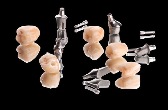 comprar Puente de corona de implante metálico de zircón natural con corona de contorno completo con abutment de titanio online manufacture