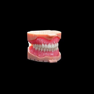 comprar Dentadura digital rosa oscuro completa extraíble Dentadura extraíble parcial online manufacture
