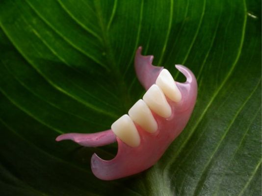 Duraflex Flexible Parcial Desmontable Estética Dentadura Parcial