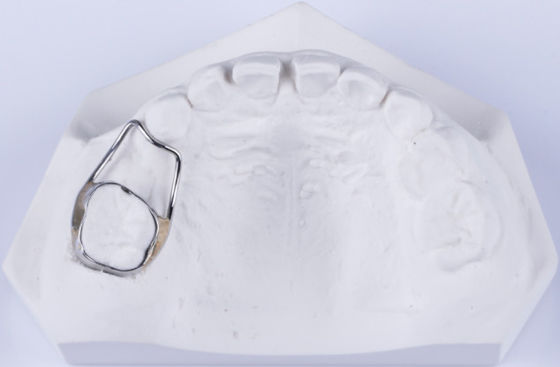 Contenedor de espacio dental personalizable para contenedor de dientes para fijar la brecha